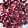 Lotto grezzo grezzo 100 CT - 20 grammi AAA Natural Birma Pegion Red Ruby