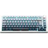 Selius Tastiera da gaming meccanica - Bianca - Wireless (senza fili) - Layout AZERTY - Compatta (75%) - Tasti intercambiabili - Illuminazione RGB - Compatibile con PC e console