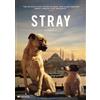 Magnolia Home Ent Stray (DVD) zeytin