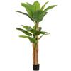 Andrea Bizzotto Pianta Banano con Vaso 20 foglie H200 cm