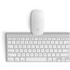 FlashMac Kit Apple Magic Mouse 1 + Magic Keyboard (1a Generazione) a pile (Ricondizionato - Ottimo)