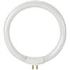 Velleman Tubo fluorescente T4 12W, bianco freddo 6500K, 720 lumen, lampada di ricambio rotonda per lampada con lente VTLAMP8, luce da lavoro senza sfarfallio per precisione ed elettronica