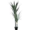 DRW Pianta artificiale di Dracaena con 2 tronchi in PE e PVC, verde, 50 x 50 x 145 cm