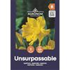 AGRONOM Tested in the garden AGRONOM | Bulbi Narcisi - UNSURPASSABLE | Bulbi fiori perenni | Fiori Giallo | I fiori meravigliosamente profumati sono piuttosto grandi, solitari o concentrati | Confezione da 3 Bulbi fiori