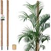KOTARBAU® 2 pezzi Tutori per Piante - ⌀ 3,2 x 180 cm - Palo di Muschio per Monstera - Fibra di Cocco - Palo per Piante - Marrone - Stecche di Supporto - Bastone Fibra di Cocco