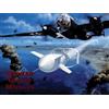 Heinz J. Nowarra German Guided Missles (Tascabile)
