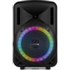 Selius Altoparlante portatile per karaoke da 300W - Batteria integrata con woofer da 8 pollici - Nero - Altoparlante per feste