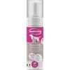 INODORINA SHAMPOO MOUSSE A SECCO NO GAS 250 ml delicato
