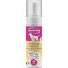 INODORINA SHAMPOO MOUSSE A SECCO NO GAS 250 ml latte e vaniglia