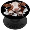 4CalfLovers Divertente vitello che sbircia carino zoo amante degli animali PopSockets PopGrip Adesivo