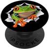 4FrogLovers Divertente rana che sbircia carino zoo amante degli animali PopSockets PopGrip Adesivo