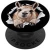 4LlamaLovers Divertente lama che sbircia carino zoo amante degli animali PopSockets PopGrip Adesivo