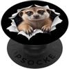 4MeerkatLovers Divertente suricato che sbircia carino zoo amante degli animali PopSockets PopGrip Adesivo
