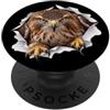 4HawkLovers Divertente falco che sbircia carino zoo amante degli animali PopSockets PopGrip Adesivo