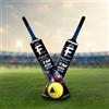 Generic F Plus TM Kids Edition Kashmir Willow Cricket Bat