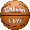WILSON Caitlin Clark EVO NXT 3951 - Palloni da basket