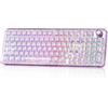 Selius Tastiera da gaming meccanica, colore viola - Connessione tri-modal - Illuminazione RGB
