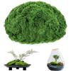 LeLiangLiang 200g Muschio Artificiale da Decorare, mMuschio Decorativo | Decorazioni in Muschio Finto per Decorazioni Acquario lavori artigianali DIY modellismo