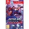 False Ninja Gaiden Ragebound