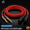 ATAUDIO Cavo HiFi Dual da 6,5 a 2XLR 6N OFC 1/4" Jack TS/TRS da 6,5 mm a XLR maschio/femmina Cavo audio a 3 pin per microfono mixer altoparlante
