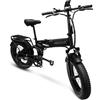 HedaTX Bicicletta elettrica pieghevole PASELEC PX6, 500W di potenza massima, batteria rimovibile da 48V, pneumatici larghi 20*4.0", doppia sospensione, freni a disco, per adulti, adatta a tutti i tipi di
