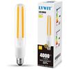 LVWIT Lampadine LED E27 Luce Calda 2700K, Lampadina LED Filamento 26W Equivalenti a 227W, 4000LM, Lampadine Luce Calda, Lampadina Stile Vintage,Risparmio Energetico,Non Dimmerabile, 21cm, 1 Unità