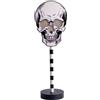 CARNIVAL TOYS Decorazione teschio con luci in mdf h.cm.32 ca. (batterie incluse) con cartellino/etichetta