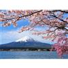 Sonstige Puzzle da 1000 pezzi, adulti, motivo: fiori di ciliegio e Monte Fuji, dimensioni: 70x50 cm