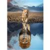HUADADA Puzzle da 1000 pezzi, adulti, leone riflesso nello specchio, dimensioni 70 x 50 cm
