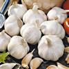 SGARAVATTI AGLIO BIANCO CONFEZIONE 500 G