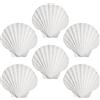 CVFRTT 6 Pezzi di Capesante, Materiali Artigianali, Decorazione di Conchiglie, Conchiglie da Cucina, Decorazioni per La Casa, Gioielli di Conchiglie Creativi Fai-da-Te