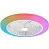Philips Ventilatore da soffitto con led incluso 50cm 40w