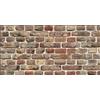 Lastra decorativa in polipropilene con stampa effetto brick, 100x50 cm