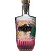 SANTA ANA GIN POMELO 70 CL 15654