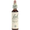 SCHWABE PHARMA ITALIA Srl Walnut Fiore di Bach Capacità di Cambiare 20 ml