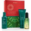 Aveda Holiday Gift of Radiance Botanical Repair™ and Miraculous Oil