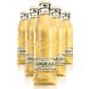 Tassoni Ginger Ale La Biologica Cassa da 25 bottiglie x 18cl - Bibite