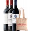 Clemente VII 2021 + Chianti Castelgreve 2021 + Pontormo 2022 + OMAGGIO shopper Castelli Del Grevepesa - Vini Italiani