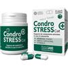 INNOVET ITALIA CONDROSTRESS + CAT 30 CAPSULE MONODOSE