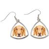 Golden Retriever - orecchini con foto e iscrizione, cane geometrico Art-Dog