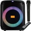 Selius Altoparlante Bluetooth per karaoke - Portatile con microfono - 6 kg