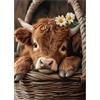 Sonstige Puzzle da 1000 pezzi per adulti, soggetto: mucca dell'alta pianura, dimensioni 70x50 cm