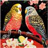 Sonstige Puzzle per adulti, pappagallo arcobaleno, blu e bianco, 1024 pezzi, 70 x 70 cm