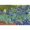 Sonstige Puzzle da 1000 pezzi, "Iris" di Vincent Van Gogh, dimensioni 70 x 50 cm