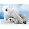 Sonstige Puzzle per adulti, 1000 pezzi, raffigurante un orso polare e un cucciolo, dimensioni 70 x 50 cm