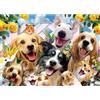 Sonstige Puzzle per adulti, 1000 pezzi, motivo: animali domestici felici, dimensioni: 70 x 50 cm