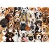 Sonstige Puzzle per adulti, 1000 pezzi, motivo: cani adorabili, dimensioni: 70 x 50 cm