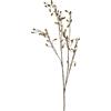 BIZZOTTO RAMO ISELYN X58B CON BACCHE VERDE H120CM