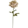 BIZZOTTO ROSA BEATRIX CHAMPAGNE H108