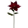 BIZZOTTO POINSETTIA ALYSSIA ROSSO H105